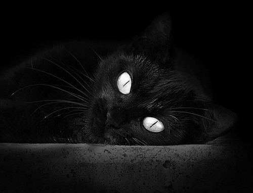 中国女篮核心球员表现抢眼 引领球队节奏，中国女篮人物介绍