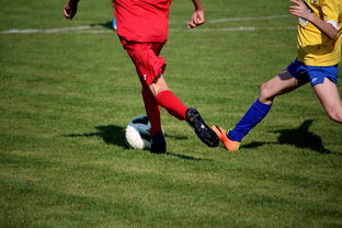 开云·体育官方网站入口-LPL多个队伍重组计划曝光转会期极度混乱，lpl战队转会期